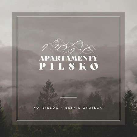 Apartamenty Pilsko Корбелюв Экстерьер фото